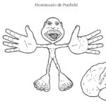 El poder de unas manos sensibles en Reflexología Podal